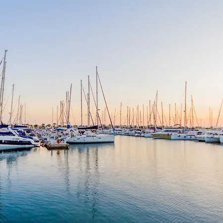 Ramon Gallud Id143 Torrevieja